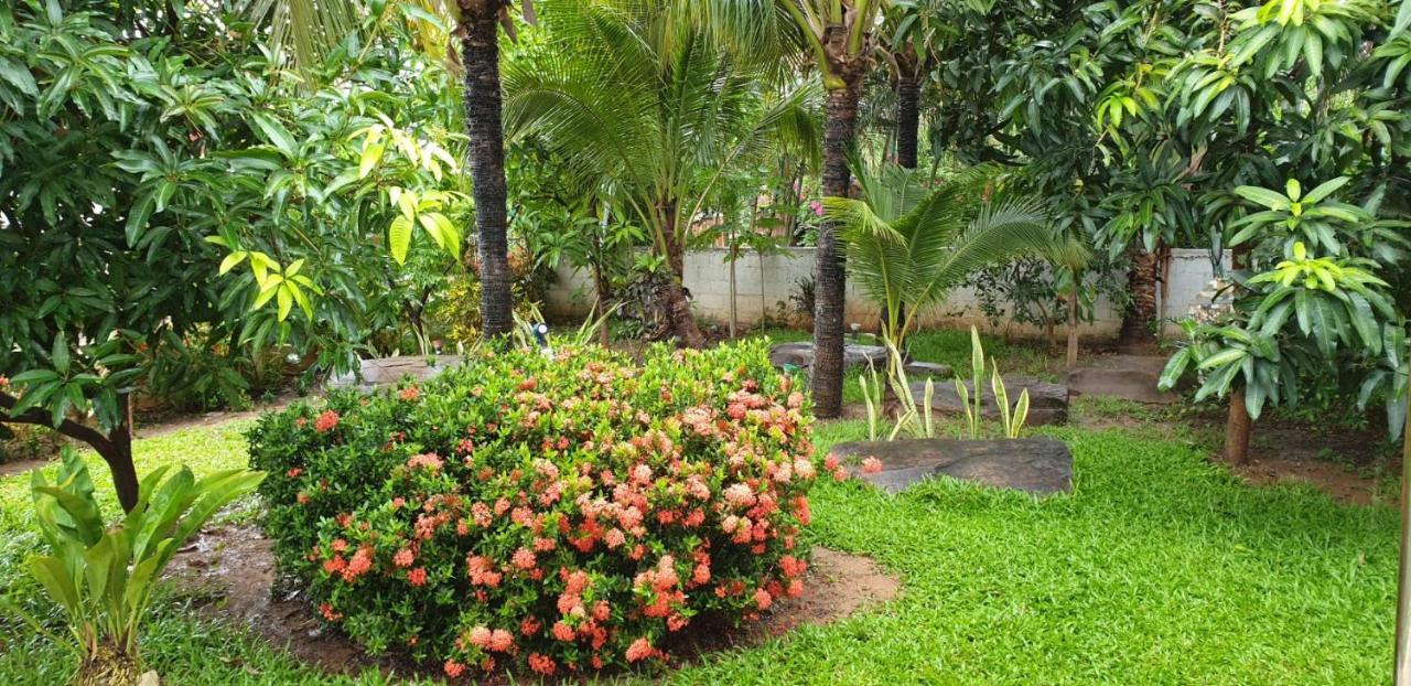 Si Bun Ruang Nuch'S Apple Guest House מראה חיצוני תמונה