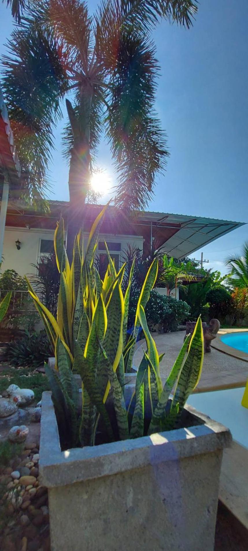 Si Bun Ruang Nuch'S Apple Guest House מראה חיצוני תמונה